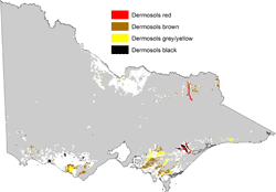 map showing distribution of chromosols in dariy