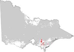 map showing distribution of ferrosols in dariy