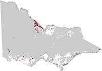 Outline of Victoria showing soils must suitable for dairying