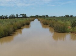 Irrigation channel