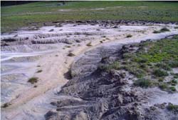 Image:dryland_salinity_pic2