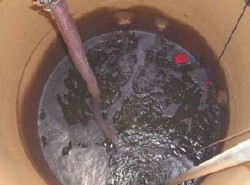 Technical solutions for dryland salinity image 3