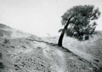 Erosion Report 1938 Plate 1