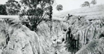 Erosion Report 1938 Plate 14