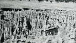 Erosion Report 1938 Plate 15