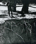 Erosion Report 1938 Plate 17