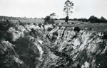 Erosion Report 1938 Plate 18