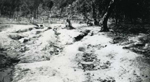 Erosion Report 1938 Plate 19