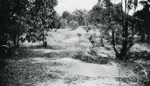Erosion Report 1938 Plate 2