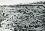 Erosion Report 1938 Plate 31