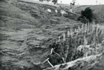 Erosion Report 1938 Plate 32