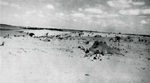 Erosion Report 1938 Plate 35