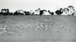 Erosion Report 1938 Plate 36