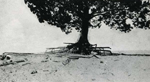 Erosion Report 1938 Plate 37