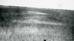 Erosion Report 1938 Plate 42