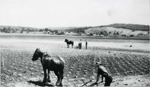 Erosion Report 1938 Plate 44