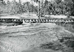 Erosion Report 1938 Plate 48