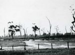 Erosion Report 1938 Plate 50