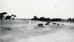 Erosion Report 1938 Plate 52