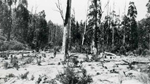 Erosion Report 1938 Plate 60