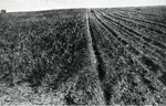 Erosion Report 1938 Plate 63