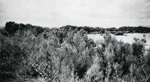 Erosion Report 1938 Plate 75
