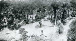Erosion Report 1938 Plate 8