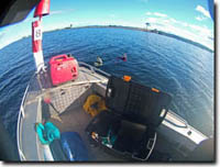 Image:  Fish Tracking - Uploading Data