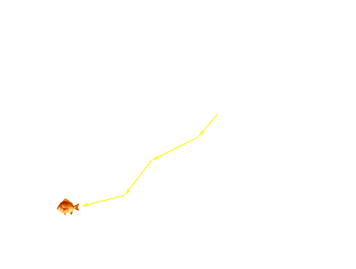 Fish 1219 was next detected at Holland's Landing at 8.30 pm the following day (2/12/05). The fish remained in this area  until 3/12/05.