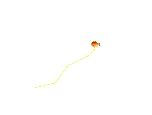 Fish 1219 was next detected at Paynesville at 8.35 on 1/1/06, but spent little time in this area.