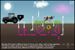 An animation illustrates the steps of the nitrogen cycle