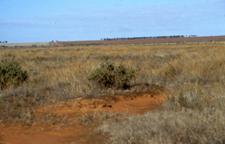 Image:  4.2.2