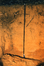 Image:  51.2