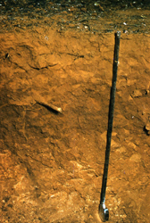 Image:  51.2