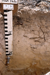 Image:  5.2.2