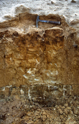 Image:  5.2.2