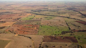 5.5 Ridges with sand, and flats (Goroke, Nhill)