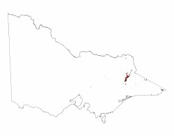 Image: 1.2.2