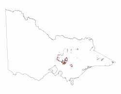 Image: 1.4.3