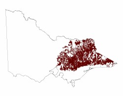 Image: 1.4