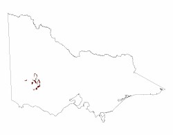Image: 2.2.3
