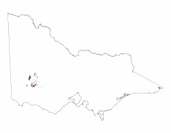 Image: 2.3.2