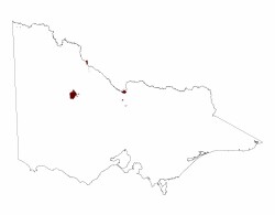 Image: 4.1.3