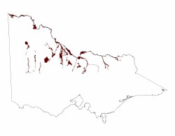 Image: 4.1