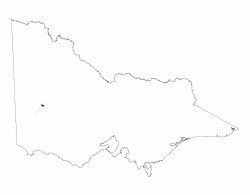 Image: 5.5.3