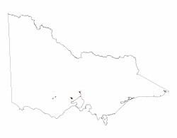 Image: 6.3