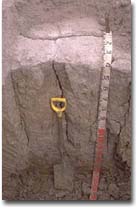 Columnar structure in subsoil of Sodosol in the Corangamite region.