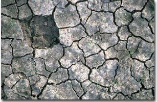Surface crusting in a Sodosol