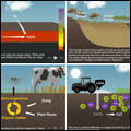 Montage of animations images used as an icon