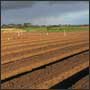 Paddock controlled farming